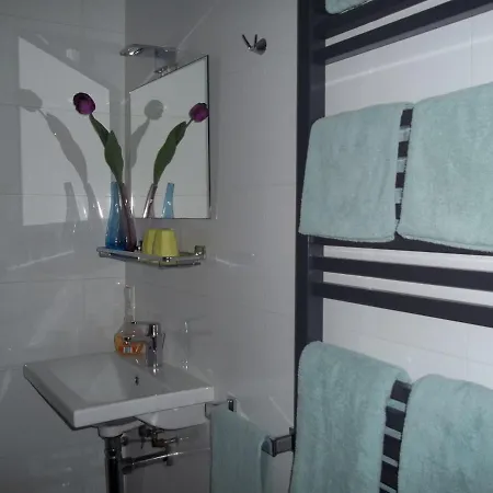 'T Griene Hemeltsje Bed & Breakfast Wijckel Exterior photo
